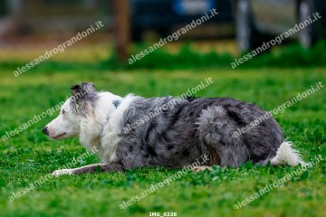 IMG_0238.jpg