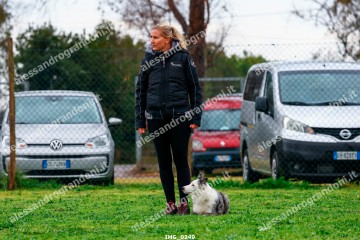 IMG_0249.jpg