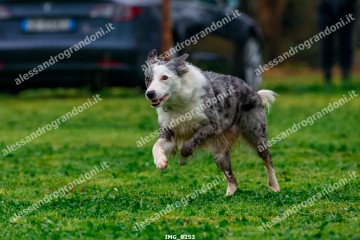IMG_0253.jpg