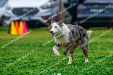 IMG_0262.jpg