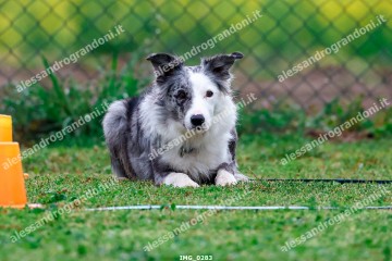 IMG_0283.jpg