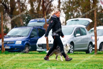 IMG_0344.jpg
