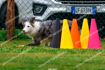 IMG_0427.jpg