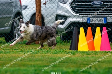 IMG_0430.jpg