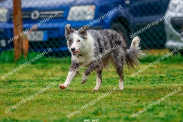 IMG_0457.jpg