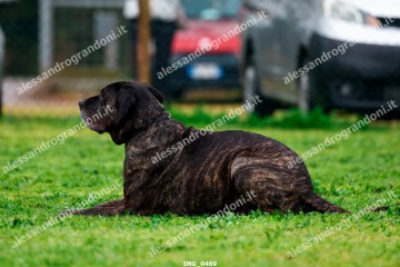 IMG_0469.jpg