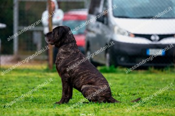 IMG_0472.jpg