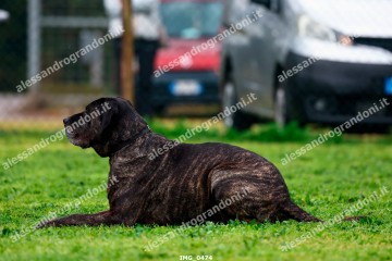 IMG_0474.jpg