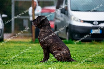 IMG_0476.jpg