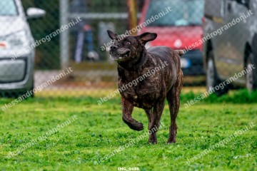 IMG_0486.jpg