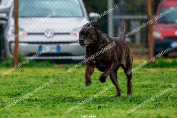 IMG_0500.jpg