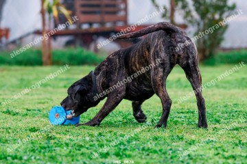 IMG_0674.jpg