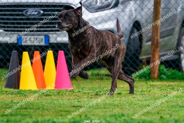 IMG_0720.jpg