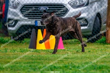IMG_0723.jpg