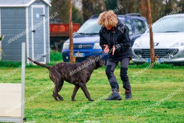 IMG_0742.jpg