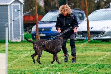 IMG_0746.jpg