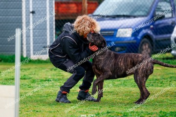 IMG_0762.jpg