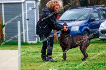IMG_0788.jpg