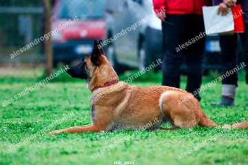 IMG_0822.jpg