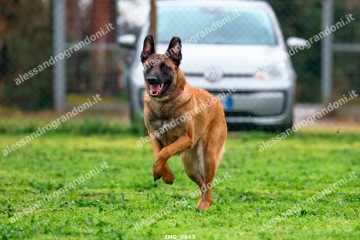 IMG_0843.jpg