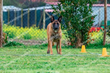 IMG_0854.jpg