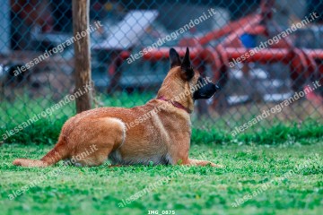 IMG_0875.jpg