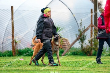 IMG_0884.jpg