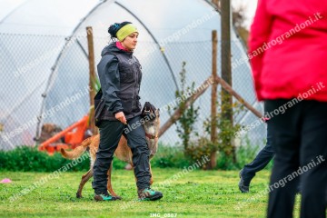 IMG_0887.jpg