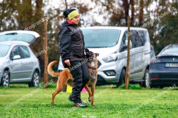 IMG_0893.jpg