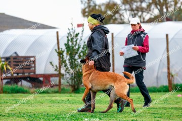 IMG_0920.jpg