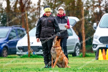 IMG_0952.jpg