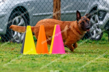 IMG_0998.jpg