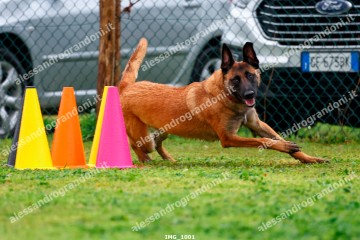 IMG_1001.jpg
