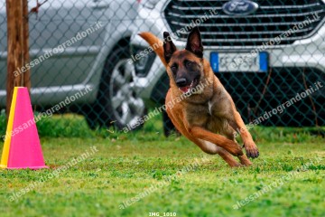 IMG_1010.jpg