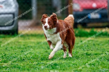 IMG_1071.jpg