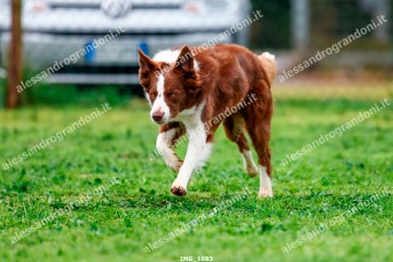 IMG_1083.jpg