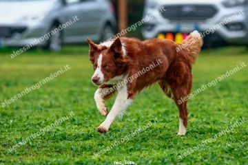 IMG_1096.jpg