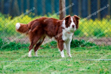 IMG_1106.jpg