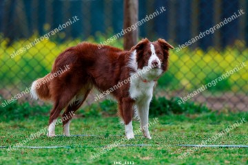 IMG_1112.jpg