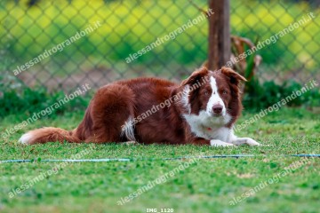 IMG_1120.jpg