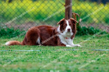 IMG_1128.jpg