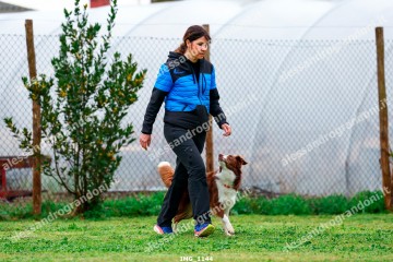IMG_1144.jpg