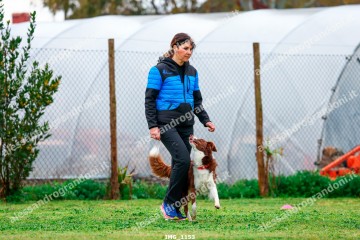 IMG_1153.jpg