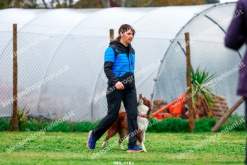 IMG_1162.jpg
