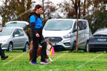 IMG_1173.jpg