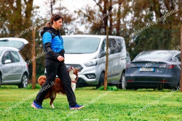 IMG_1178.jpg