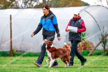 IMG_1189.jpg