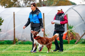 IMG_1192.jpg
