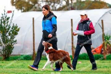 IMG_1196.jpg