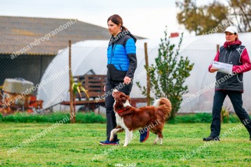 IMG_1200.jpg